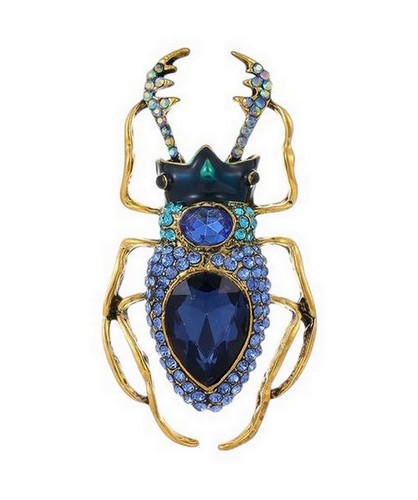 Brosche schmuck insekt käfer - schmuck,