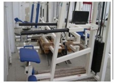 Trizeps Dip Maschine Gym80