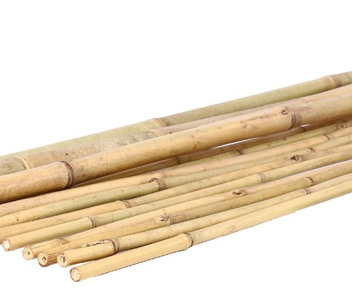 Tonkin bambus 100cm natur - tonkin,