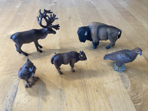Schleichtiere waldtiere - schleichtiere,