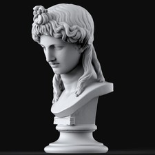 Kopf einer Frau oder Apollo 15