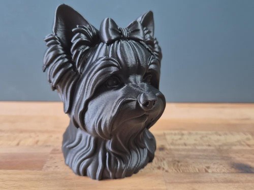 Biewer yorkshire terrier - biewer,