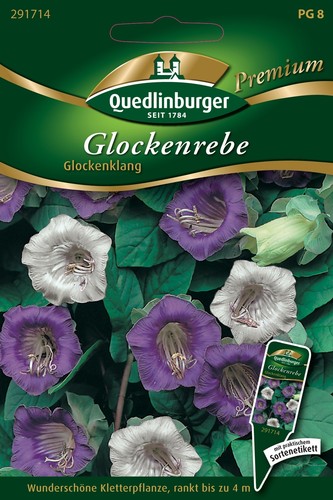 Glockenrebe glockenklang samen - glockenklang,