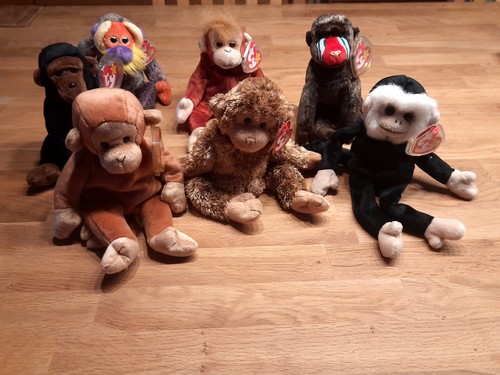 Beanie babies collection - beanie,