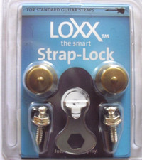 Loxx Security Lock Electric