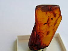 4 cm langer bernstein mit einschluß spinne, fliege und blatt aus sachsen-anhalt