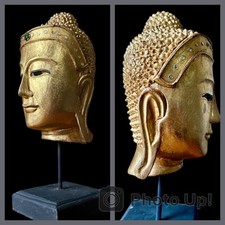Vergoldeter Buddha-Kopf aus