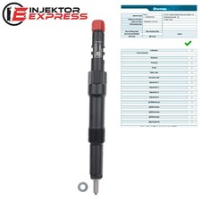 EJDR00504Z Delphi Injektor Jaguar X-Type Ford Mondeo 2.0 TDCi 4S1Q9K546BD