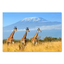 Postereck 3422 Poster Leinwand Giraffe, Berg Natur Afrika Natur Landschaft