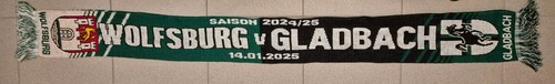 Vfl wolfsburg borussia - wolfsburg,