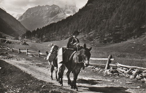 Motif vallon d arolla - motif, du