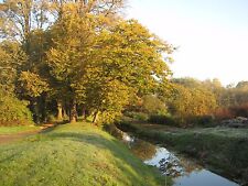 Fotopapier 210 x 297mm DIN A4