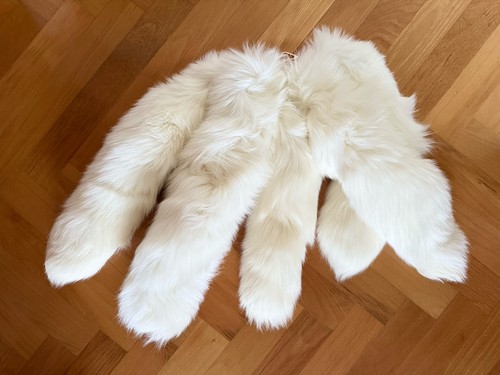 Fuchsschwanz fuchs schwanz - fuchsschwanz,