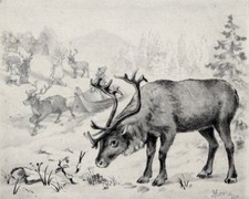 Louis Morin (1855-1938)-