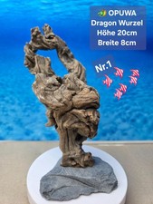 OPUWA DRAGON ⭐️ Aquarium