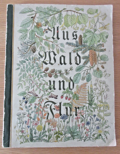 Aus wald und flur - und,