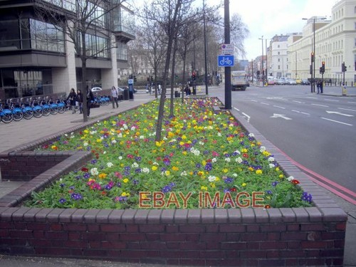 Foto blumenbeet auf vauxhall - foto,