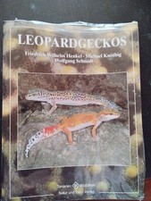 Leopardgeckos