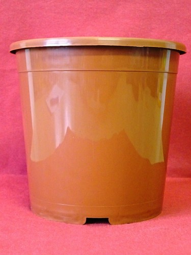 Geli containertopf 14 cm - x,