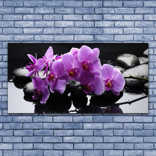 Acrylglasbilder wandbilder - acrylglasbilder,