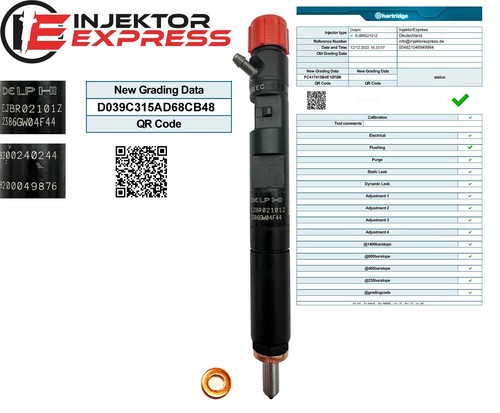 Ejbr02101z delphi injektor - ejbr02101z,