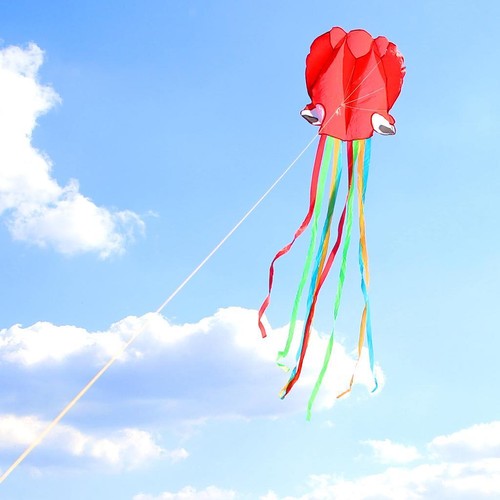 Kinder easy fly einleiner - to,