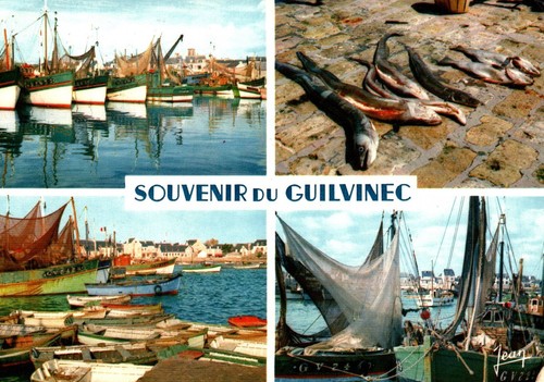 Cpsm souvenir du - cpsm, 29