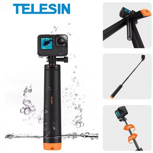 Telesin