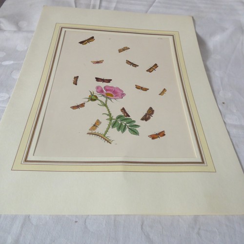 Antik lithografie stahlstich - antik,