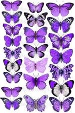 Schmetterlinge Tortenbild