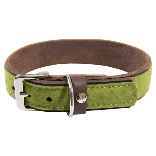 Das lederband hundehalsband - das,