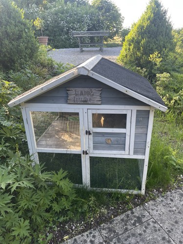 Meerschweinchen hasen stall - , meerschweinchen/hasen