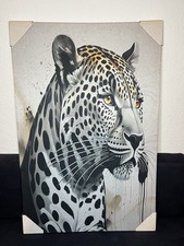 Leopard Bild mit Licht