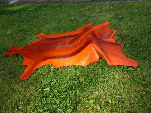 Neues springbockfell orange - springbockfell,