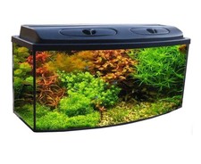 Aquarium set panorama - aquarium,