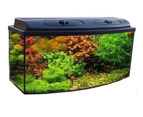 Aquarium set panorama - set,