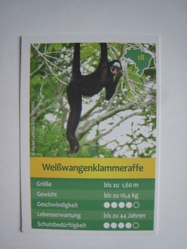 Entdecke brasilien - entdecke,