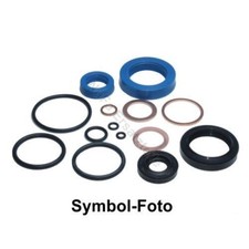 Dichtsatz für Hubwagen