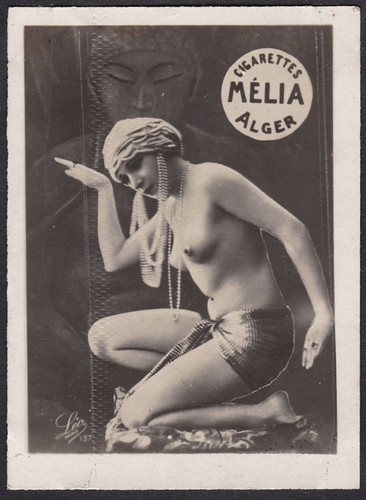Akt erotica erotik nude - akt,