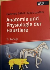 Anatomie und Physiologie der