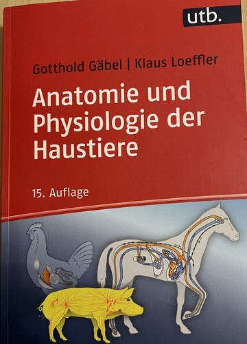 Anatomie und physiologie - physiologie, der