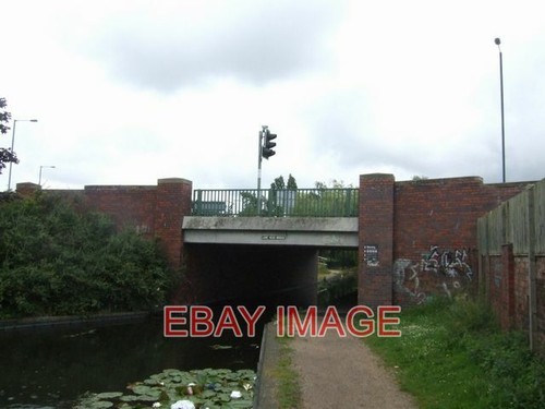 Foto spur kopfbrücke seerose - foto,