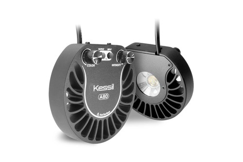 Kessil a80 tuna - blue, led