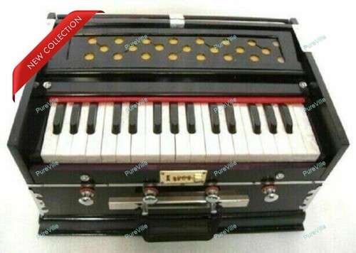 Indisches musikinstrument - indisches,