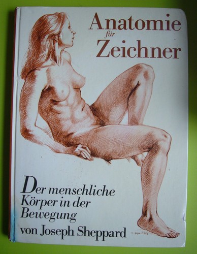 Anatomie für zeichner der - anatomie,