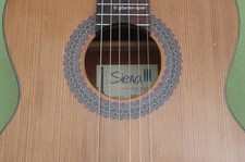 7/8 Konzert-Gitarre Siena 620 PC Lady-Guitar Decke Zeder massiv Sattel 48 mm
