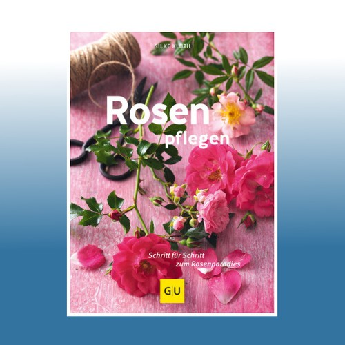 Rosen pflegen silke kluth - rosen,