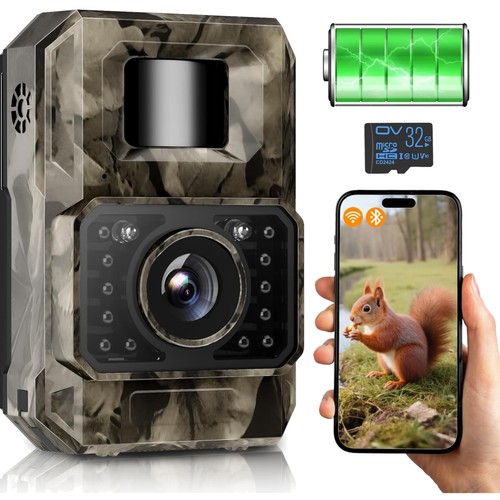 Wildkamera wildtierkamera - wildkamera,