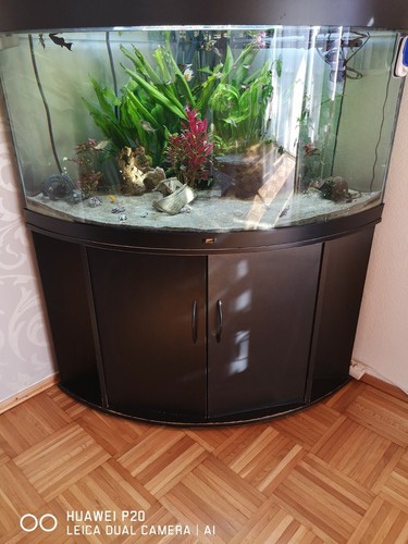 Aquarium juwel trigon - aquarium,