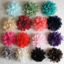 Haarblume Haarblüte